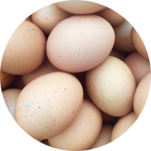 Egg inneholder vitamin D