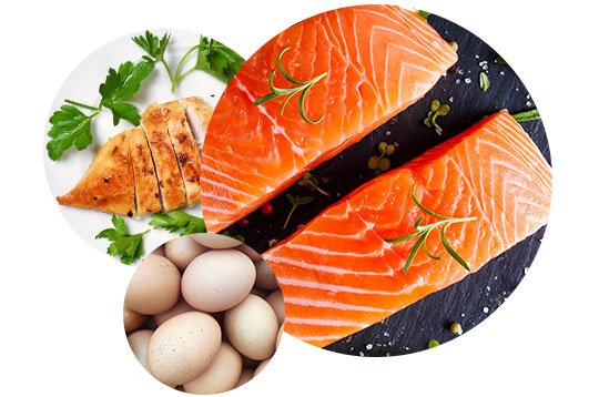 Ulike proteinrike matvarer